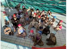 Stage  aisance aquatique  